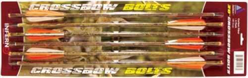 Arrow Bolts 20" 100 Grains Tip Carbon 6Pk (40)